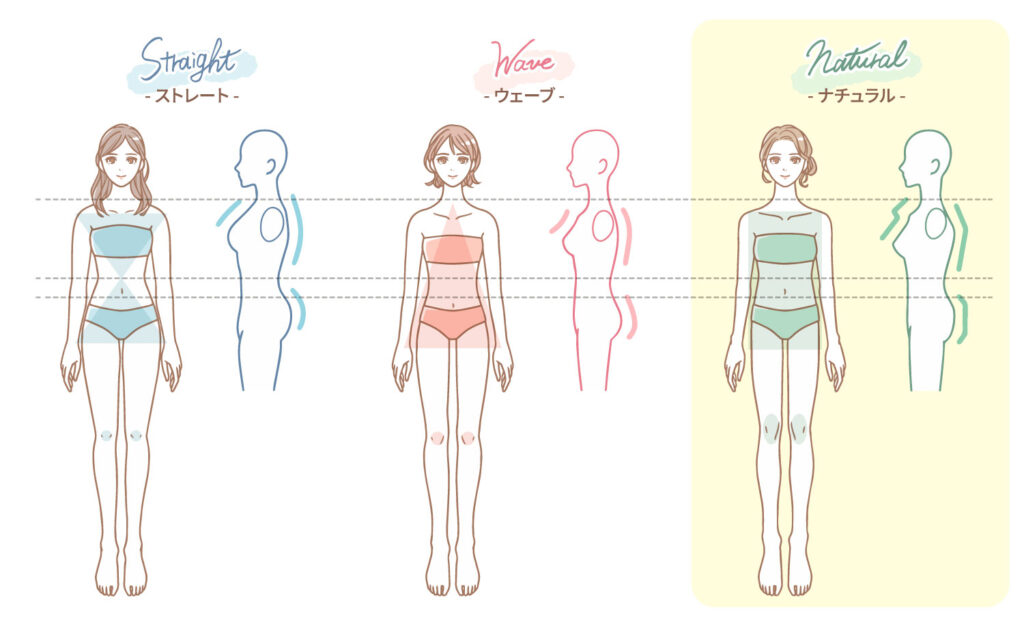 ナチュラルタイプの主な特徴