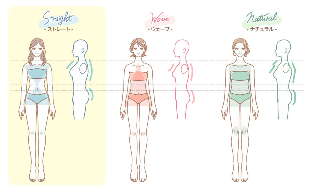 骨格ストレートとは？