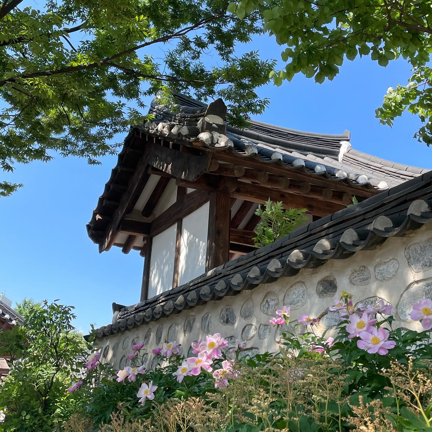 南山韓屋村（Namsangol Hanok Village）