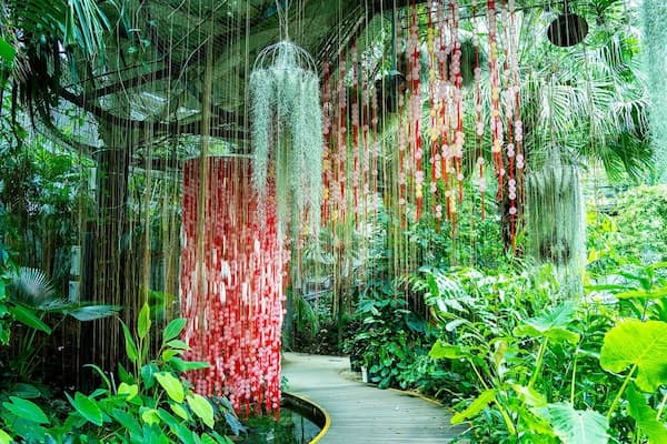 ソウル植物園