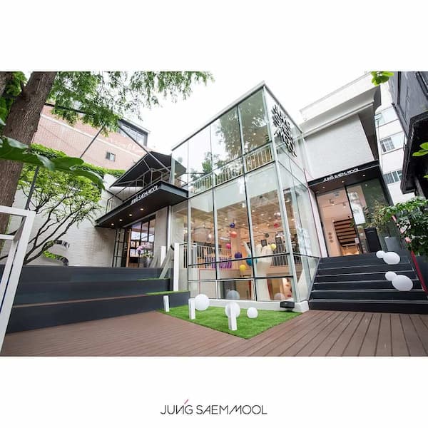 JUNG SAEM MOOL PLOPS