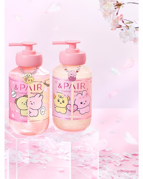 チェゴシム × &PAIR