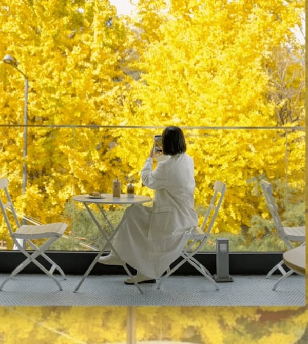 韓国紅葉スポット