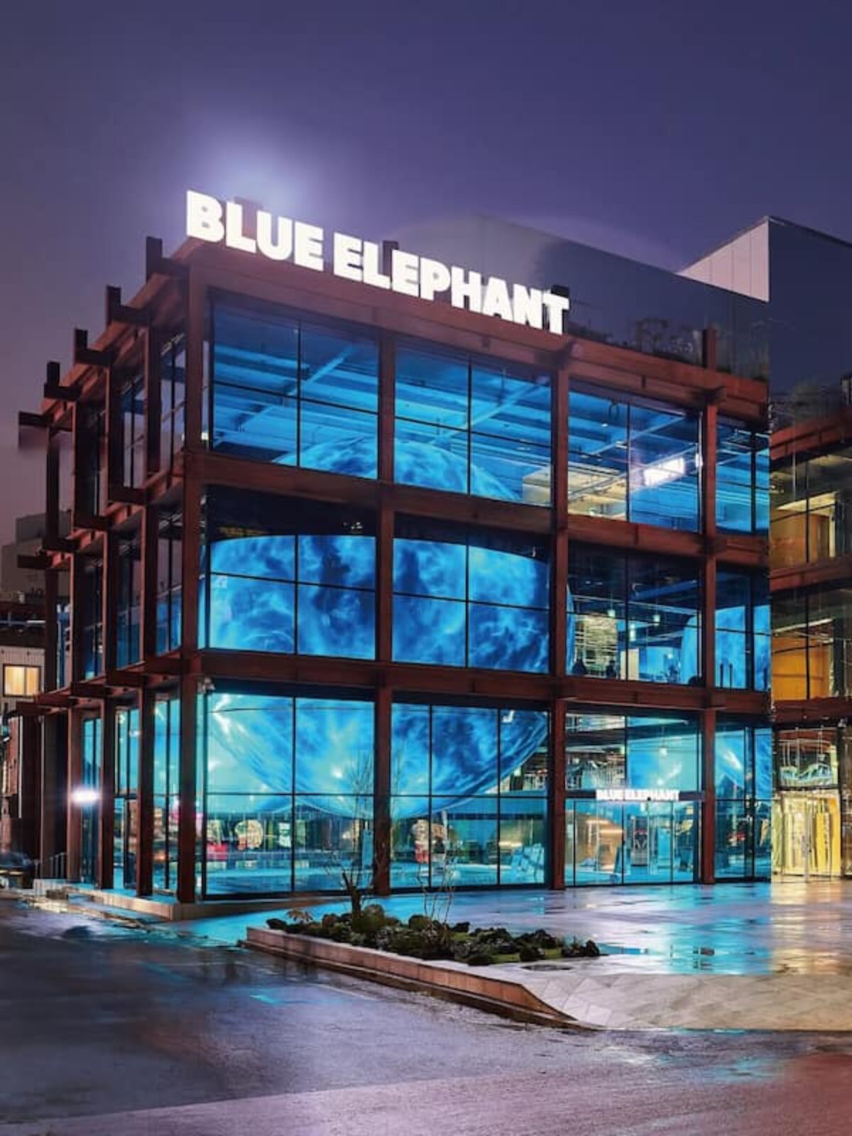 韓国人気アイウェアブランド「BLUE ELEPHANT」聖水にメガストアが