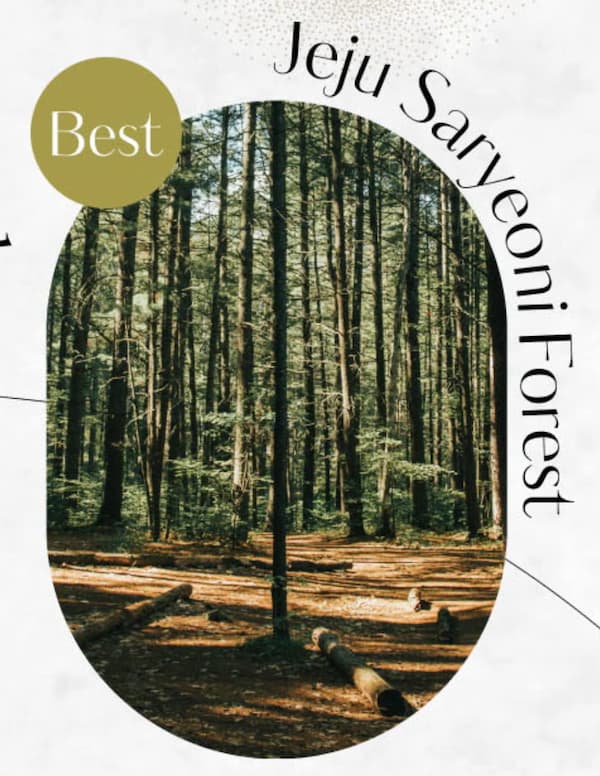 済州サリョニ林道