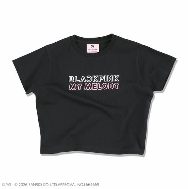 クロップドＴシャツ