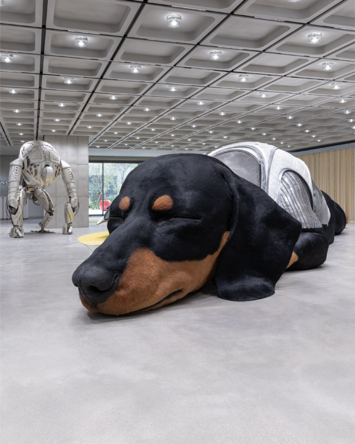 TAMBURINS ダックスフンド