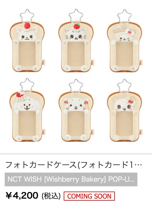 フォトカードケース(フォトカード1枚付き)