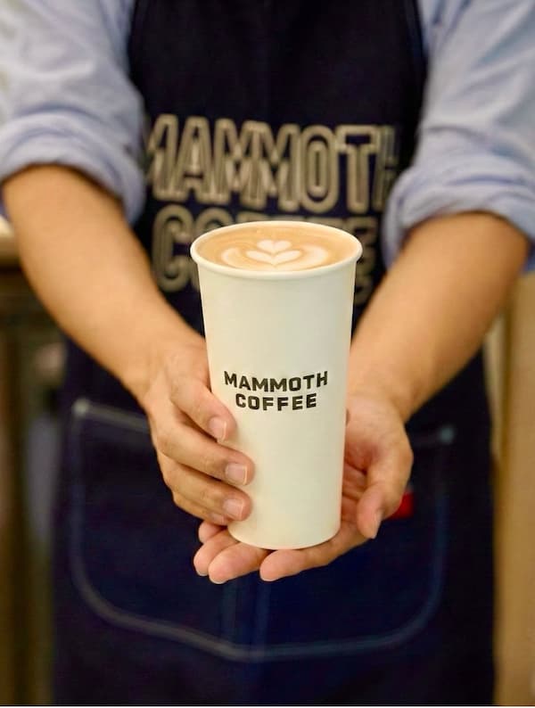 Mammoth Coffee
