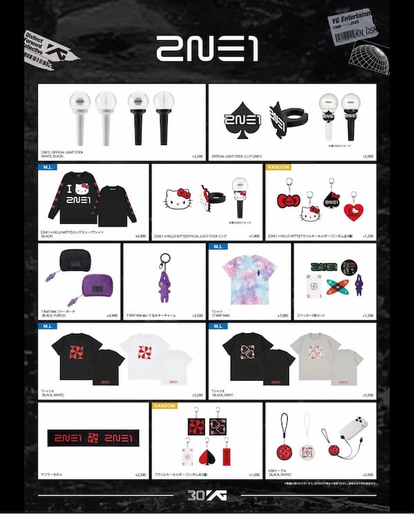 2NE1